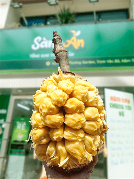 Mít mật