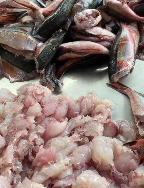 Chả cá Đỏ Củ Lý Sơn Quảng Ngãi (túi 500g) 4