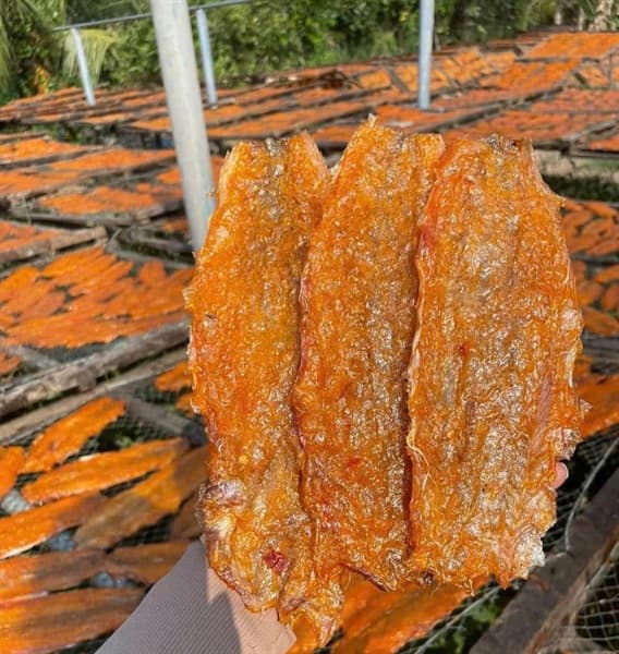 Cá mối tẩm vị 5