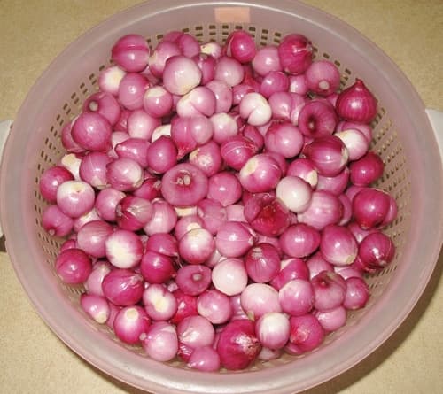 Hành tím Lý Sơn ngâm giấm chua ngọt 500g 4