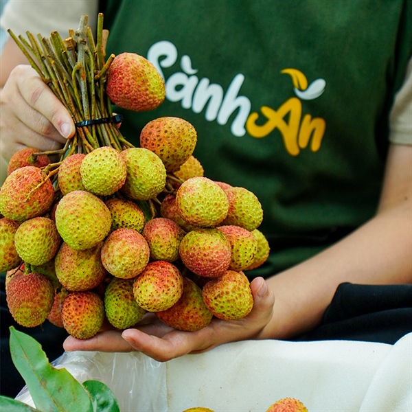 Vải U Đường