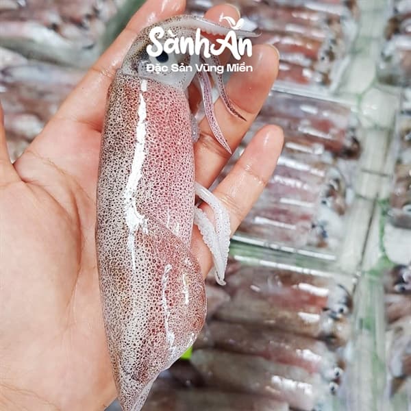 Mực sạch Tĩnh Gia 500g