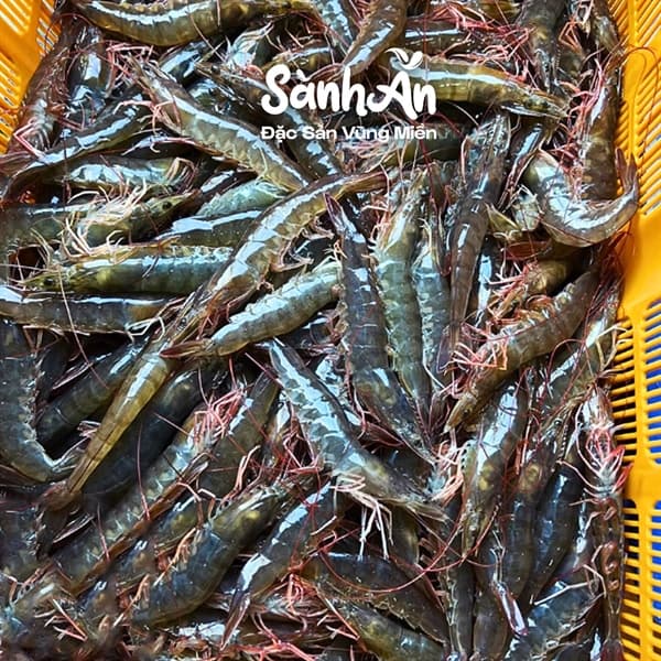 Tôm Rảo 250g