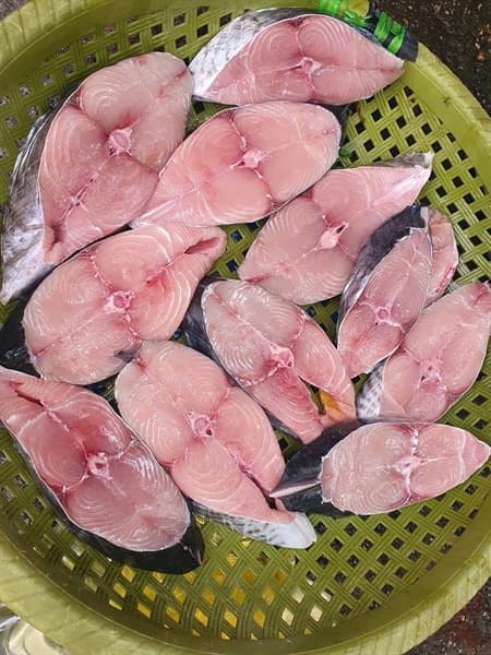 Cá thu tươi 2