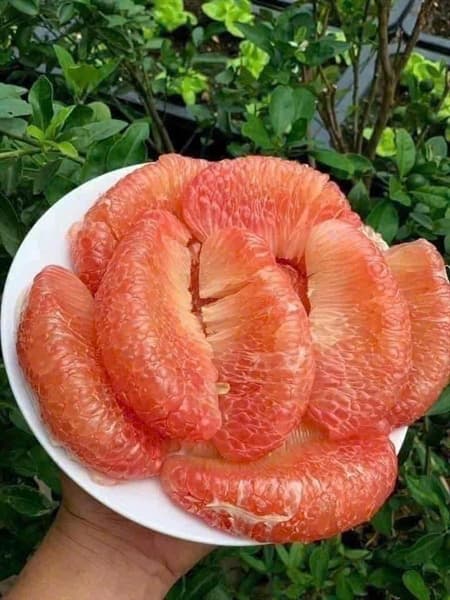 Bưởi hồng da xanh Vĩnh Long 3