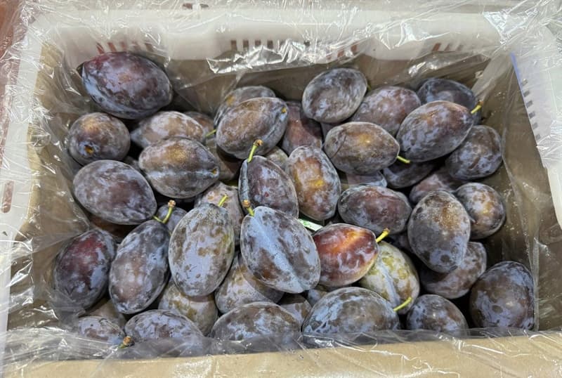 Mận đường Úc