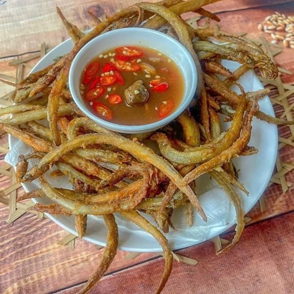 Cá sụn sịn 2