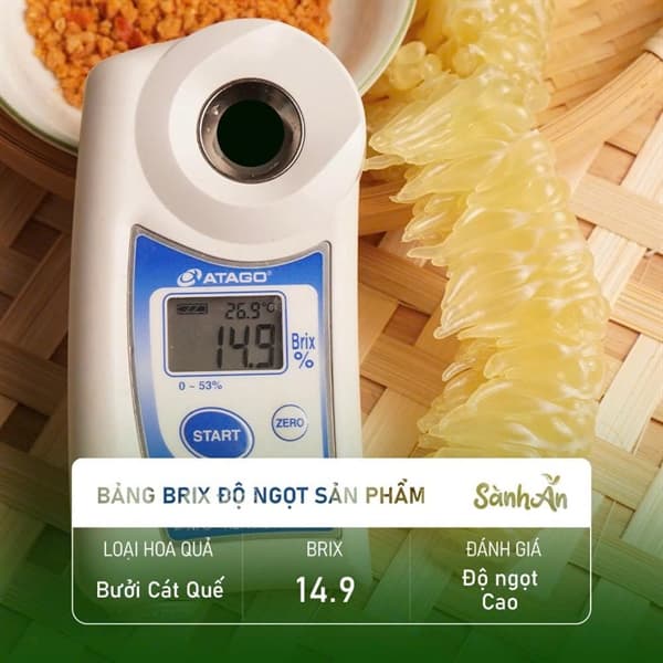 Bưởi đường Cát Quế Tuyên Quang 4