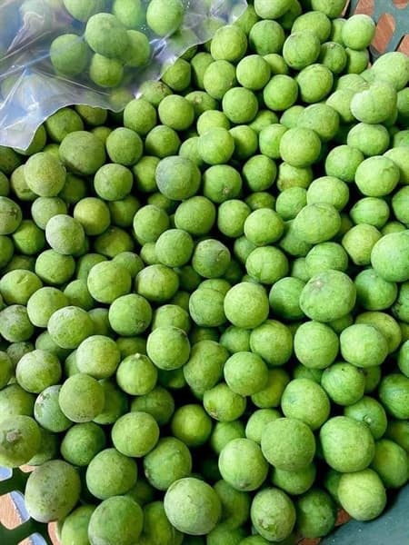 Sấu Viba 500g