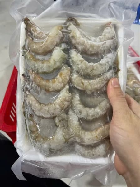 Nõn Tôm Rảo Vân Đồn 500g 2