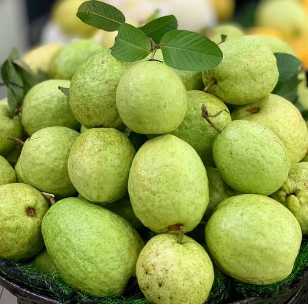 Ổi Thái sần Bắc Giang