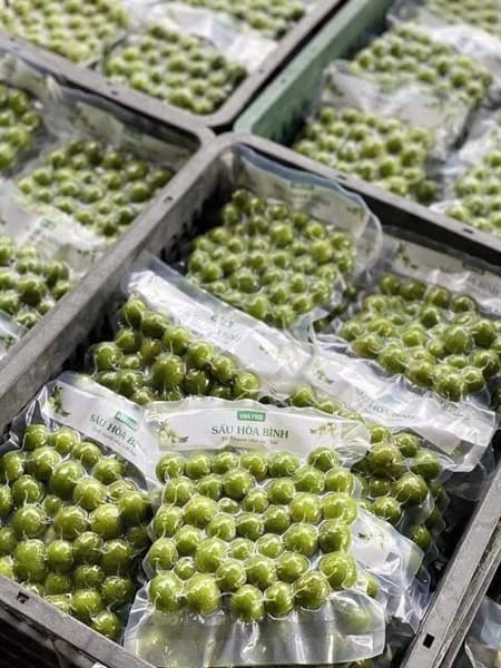 Sấu Viba 300g 2