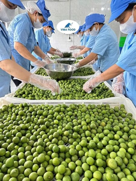 Sấu Viba 300g 4
