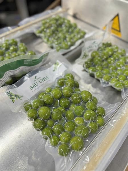 Sấu Viba 300g 3