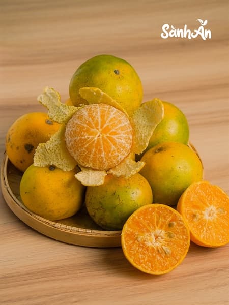 Quýt đường SG 3