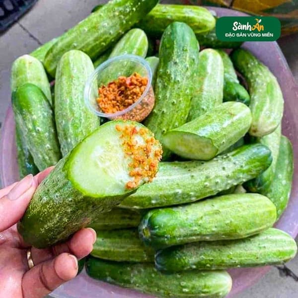 Dưa chuột nếp Sơn La 3