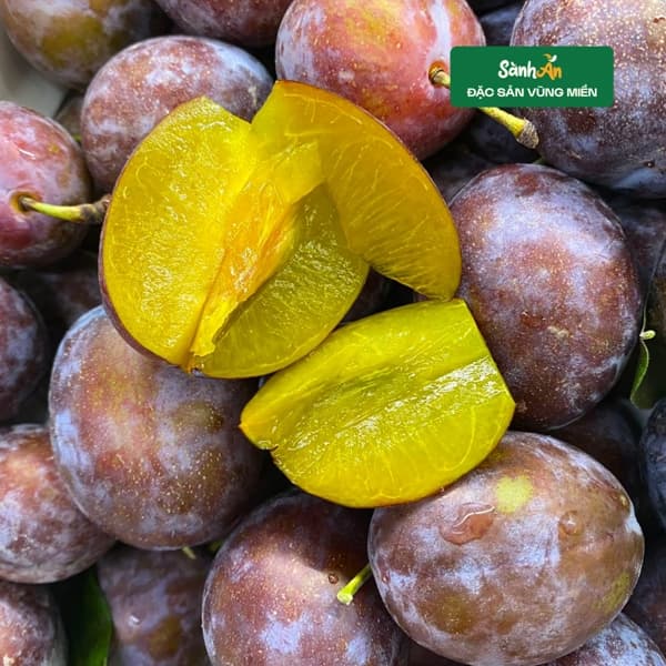 Mận đường nhót 2