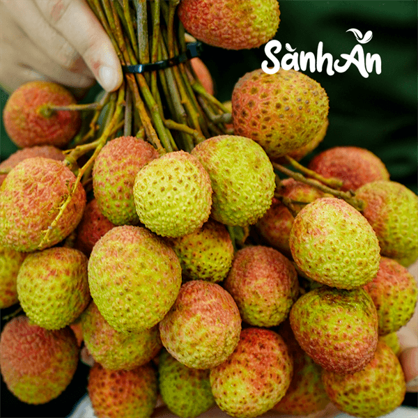 Vải U Hồng Sơn La