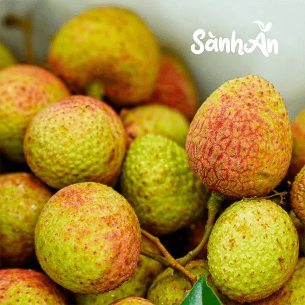 Vải U Hồng Sơn La 3
