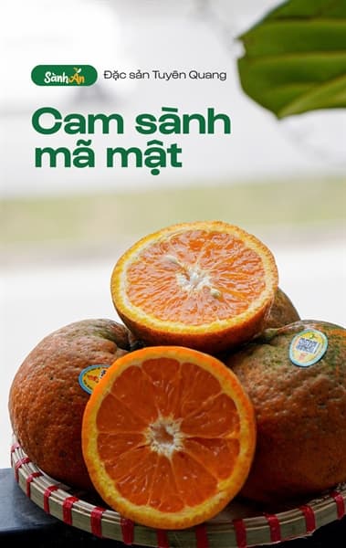 Cam sành Hàm Yên