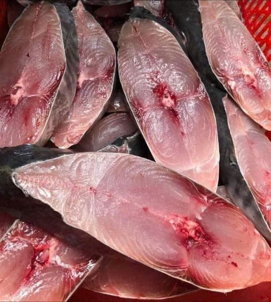 Cá Thu Khúc Đặc 2