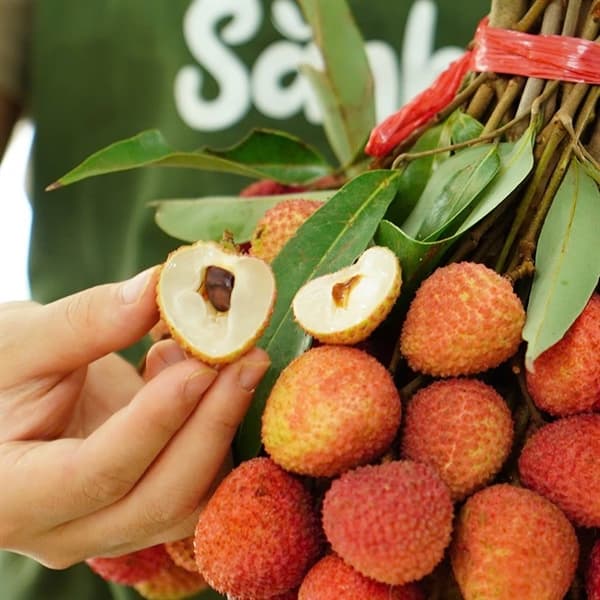 Vải thiều Kim Sơn Ninh Bình