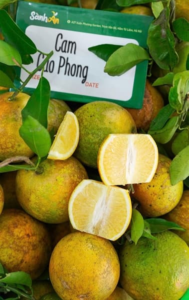 Cam cao phong Hòa Bình loại 1 2