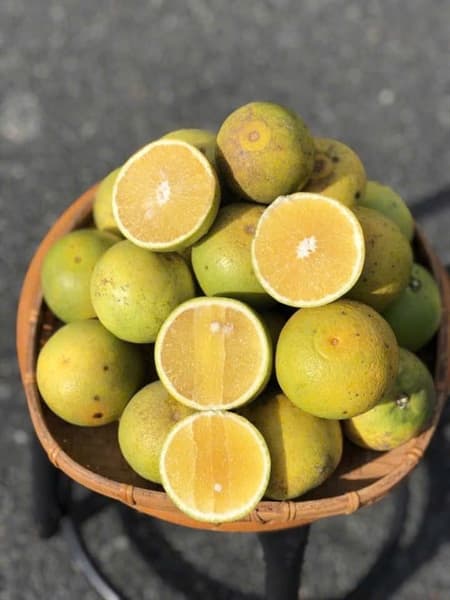 Cam Xoàn Lai vung 5