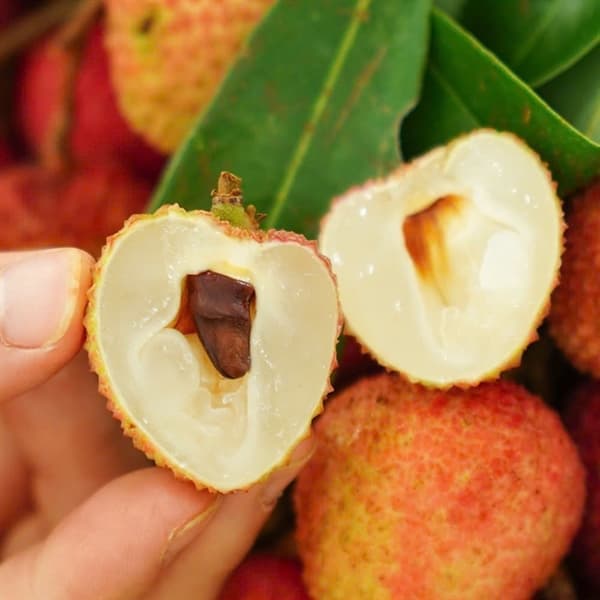 Vải thiều Kim Sơn Ninh Bình 2