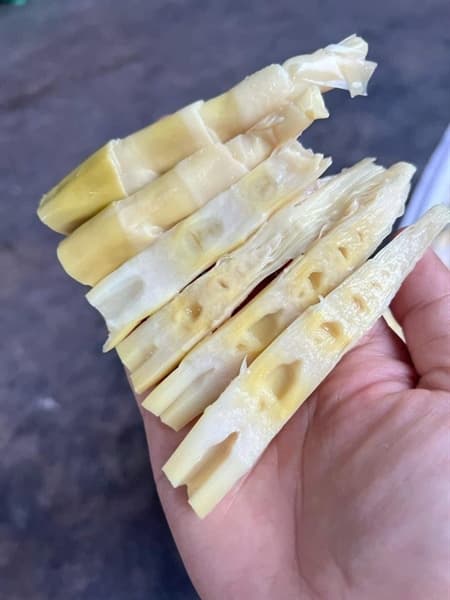 Măng trúc 2