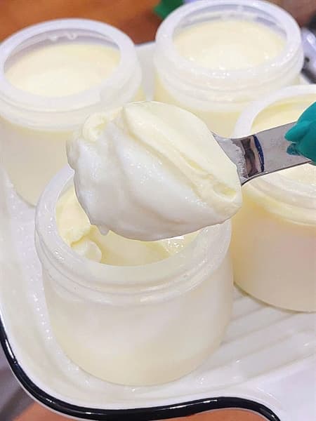 Sữa chua Quý Tộc 3