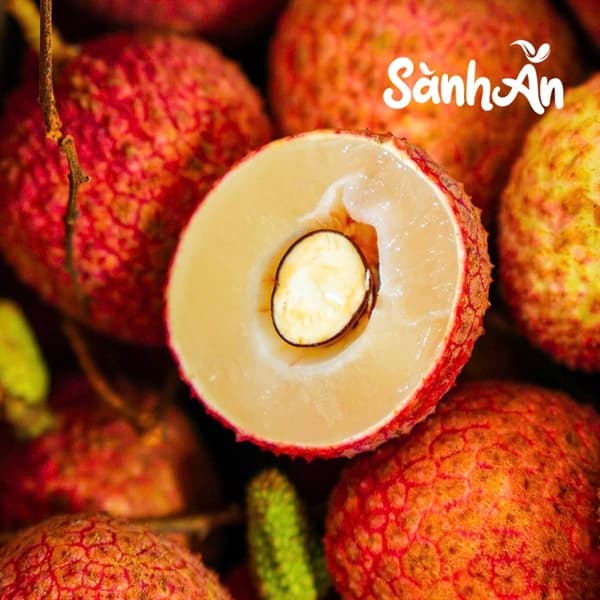 Vải Trứng trắng Hưng Yên 2