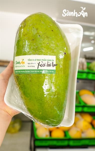 Xoài Đài Loan Sơn La 3