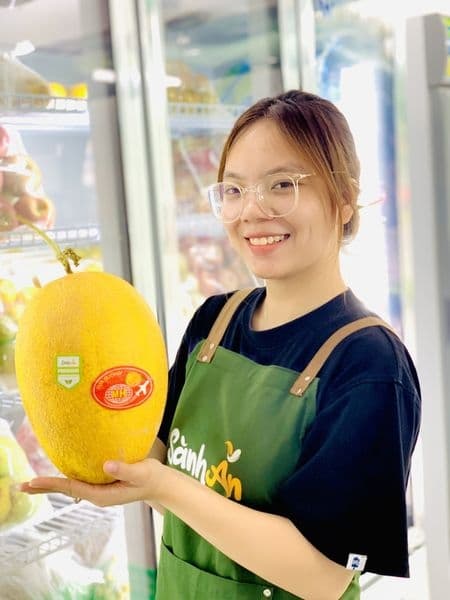 Dưa vàng Mai Hương 2