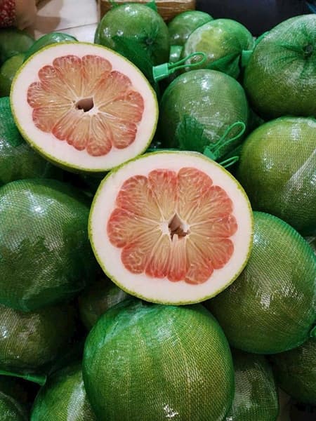 Bưởi da xanh Ngọc Nhi Bến Tre 2