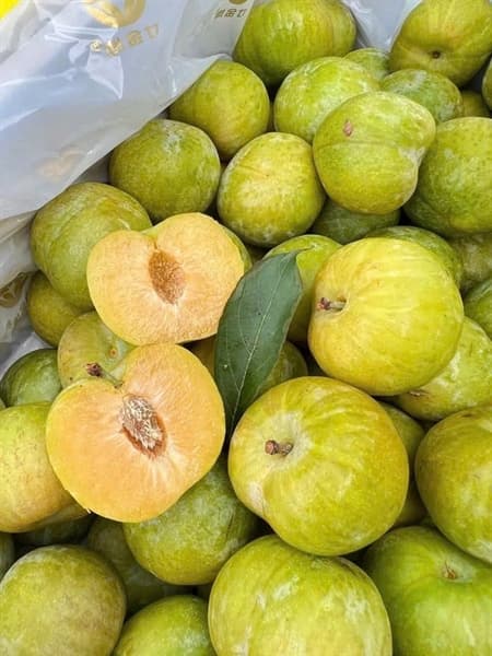 Mận Mật Ong 3