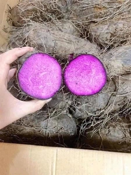 Khoai sọ mỡ 1kg