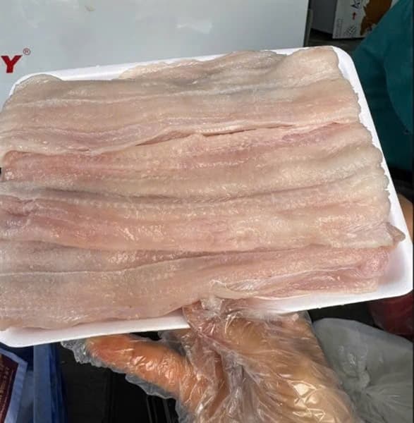 Cá Nhạc 1kg