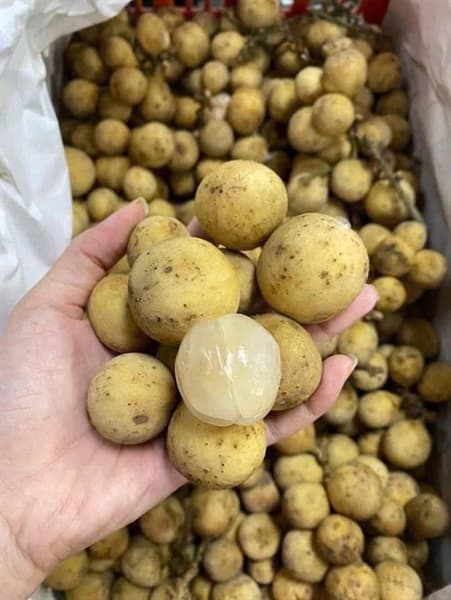 Bòn bon Thái 4