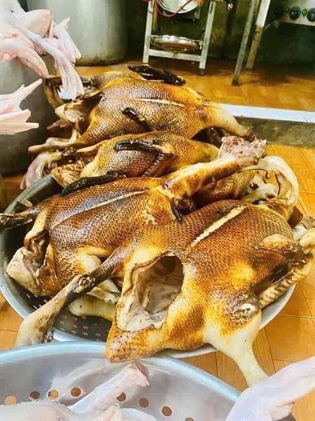 Ngan giả cầy 2