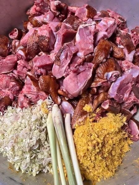 Ngan giả cầy