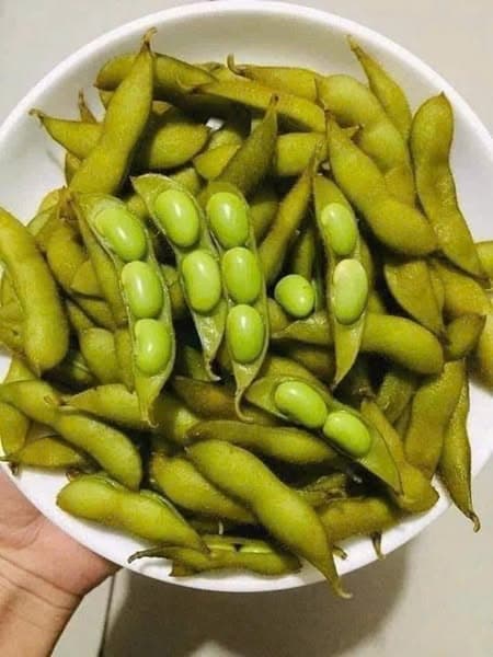 Đậu lông Nhật
