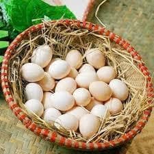 Trứng gà ta Hưng Phát (khay 10 quả)