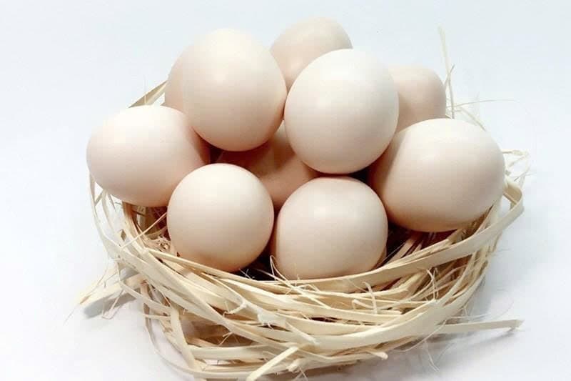 Trứng gà ta thả vườn 2