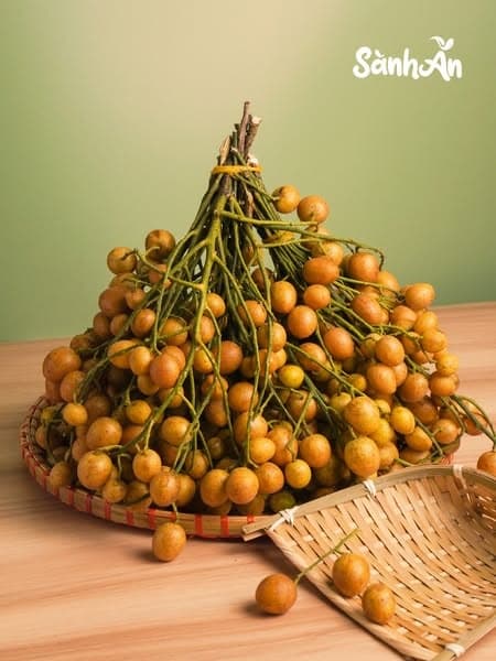 Quất hồng bì