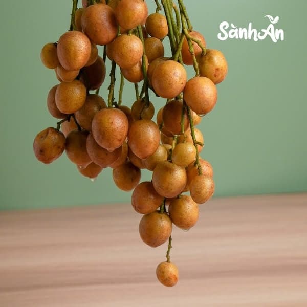 Quất hồng bì 4