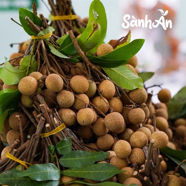 Combo 3kg nhãn sông Mã 4