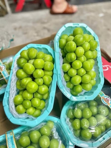 Nho Sữa Shine - Muscat 4