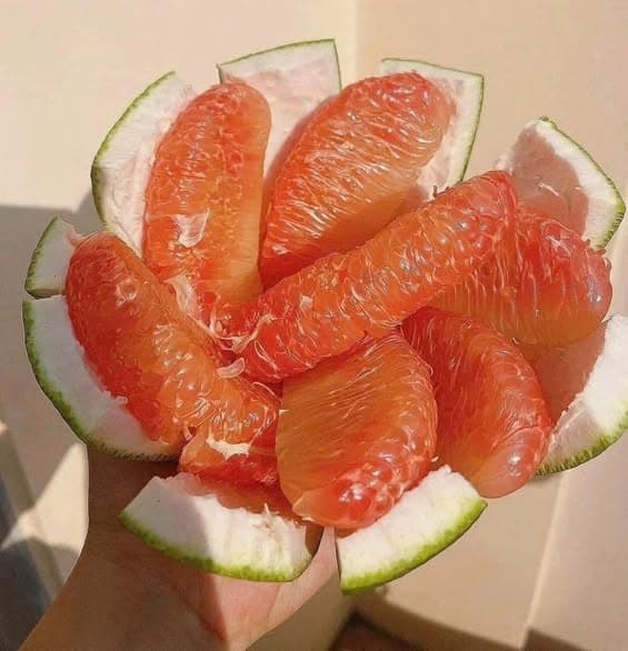Bưởi da xanh Bến Tre 2