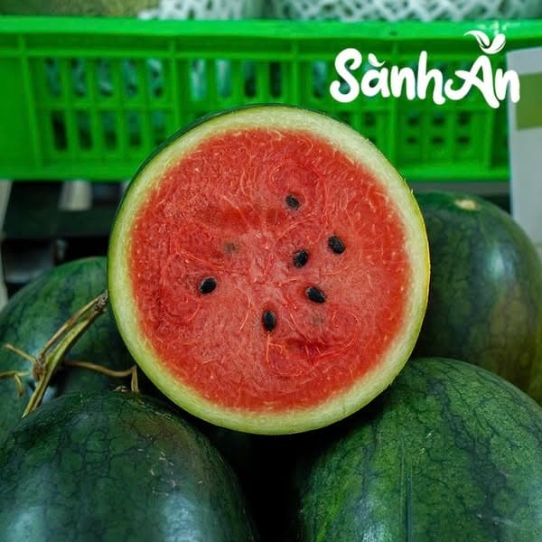 Dưa hấu Sài Gòn 3